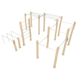 Calisthenics circuit 5 robinia